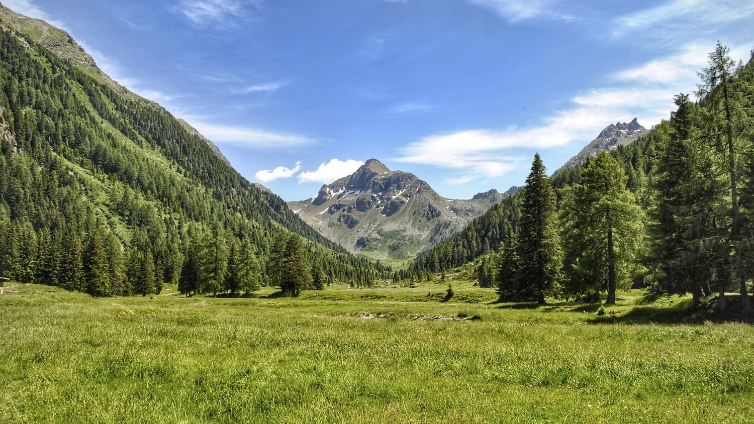 L'ESTATE IN VAL DI FIEMME
